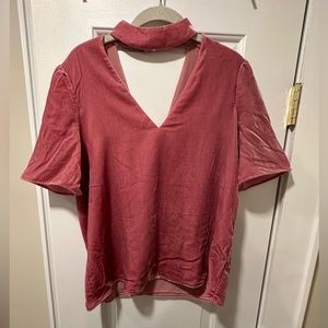 PAIGE pink velvet pink shortsleave top